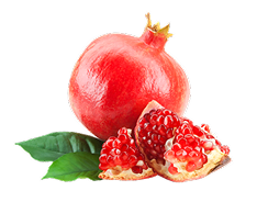 Pomegranate